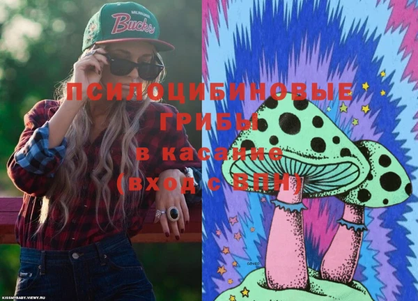 скорость Няндома